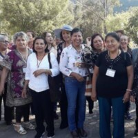 adultos3-img