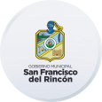 DIF San Francisco del Rincón Logo